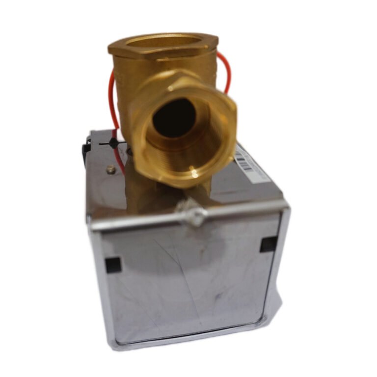 Hysteresis Synchronous Motor